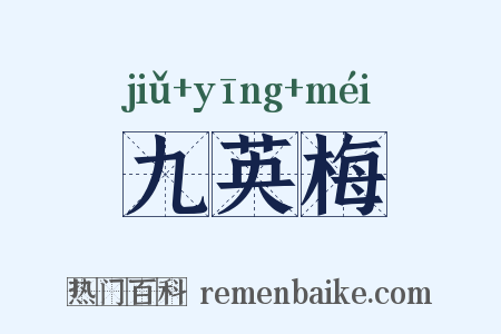 九英梅是什么意思的图片